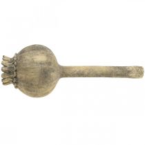 položky Dekorace z umělého kamene mák starožitná dekorace hnědá Ø13cm L37,5cm