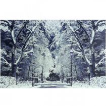 LED obraz zimní krajinářský park s lucernami LED fototapeta 58x38cm