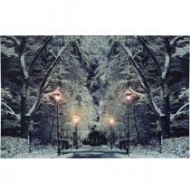 položky LED obraz zimní krajinářský park s lucernami LED fototapeta 58x38cm