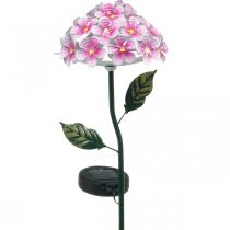 Sluneční květina, LED zahradní dekorace, dekorativní chryzantéma růžová L55cm Ø15cm