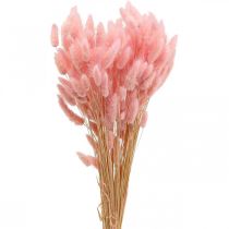 Lagurus Sušený králičí ocas tráva světle růžová 65-70cm 100g