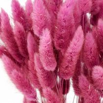 Lagurus sušený králičí ocas tráva fialový 65-70cm 100g