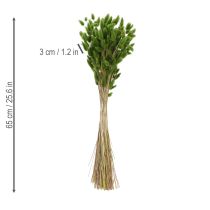 položky Sušený Lagurus (zaječí ocas) 65-70 cm 75 g