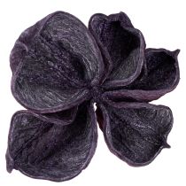 položky Landlotus Mix Blackberry, starorůžová 50 ks