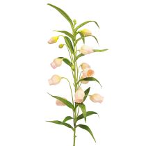 položky Lucerna Lilie umělá květina Lilie Meruňka 90cm 2ks