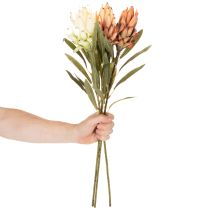položky Umělý květ protey (Leucadendron) s dlouhým stonkem, 65 cm, 3 kusy