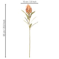 položky Umělý květ protey (Leucadendron) s dlouhým stonkem, 65 cm, 3 kusy