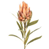 položky Umělý květ protey (Leucadendron) s dlouhým stonkem, 65 cm, 3 kusy