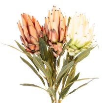 položky Umělý květ protey (Leucadendron) s dlouhým stonkem, 65 cm, 3 kusy