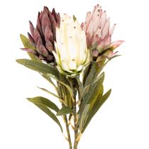 položky Umělá květina Protea Leucadendron 65cm 3 ks
