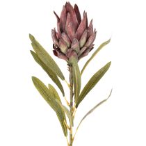 položky Umělá květina Protea Leucadendron 100cm 3 ks