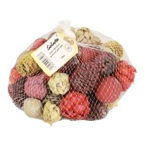 položky Leucadendronové šišky Bellgum Green Red Yellow Frosted 300g