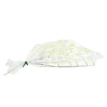 položky Lilie na drátě střední 25 ks