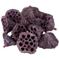 položky Lotosové kapsle, suché květinářství, lotosová žárovka růžová, praná bílá 50 kusů