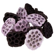 položky Lotosový mix růžový, Erika Ø6cm - Ø10cm 50 ks