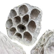 položky Lotus Natural Deco Lotosová žárovka bílá praná 6-8cm 50 ks