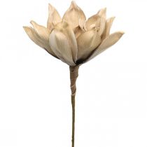 Lotosový květ, dekorace lotosový květ, umělá rostlina béžová L66cm
