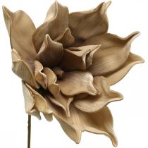 Lotosový květ, dekorace lotosový květ, umělá rostlina béžová L66cm