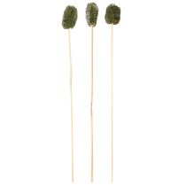 položky Luffa malá na špejli piškotová okurka tmavě zelená 5-7cm 25 ks