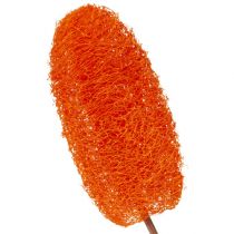 položky Luffa velká na špejli oranžová 25 ks