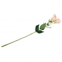 položky Lysianthus umělá růžová 87,5cm