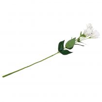 položky Lysianthus umělá květina bílá L87,5cm