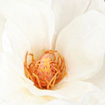 položky Magnolia White Umělá poupata Dekorace Větev V40cm 2ks