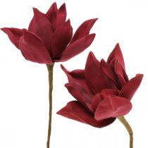 položky Umělá magnólie červená umělá květina pěnová květinová dekorace Ø10cm 6ks