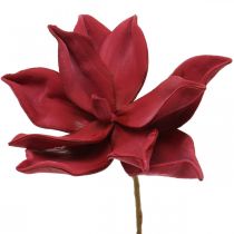 položky Umělá magnólie červená umělá květina pěnová květinová dekorace Ø10cm 6ks