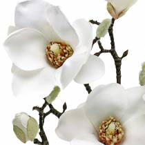 položky Větvička magnólie bílá Dekorativní větev magnólie umělá květina