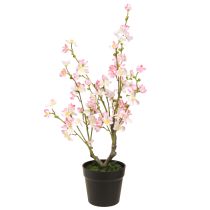 položky Mandlovník velká umělá rostlina v květináči růžová bílá 74 cm