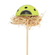 položky Beruška dekorativní květinové zátky dřevěné barevné 3,5cm 24 ks