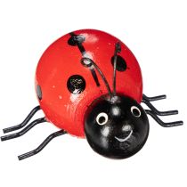 položky Dřevěné berušky/štěstěnky jako roztomilé dekorace do domácnosti, 5 cm, 6 kusů