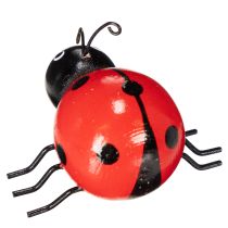 položky Dřevěné berušky/štěstěnky jako roztomilé dekorace do domácnosti, 5 cm, 6 kusů