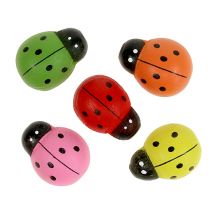 Berušky barevné 2,5cm 60 kusů