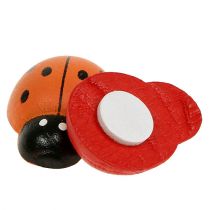 položky Berušky barevné 2,5cm 60 kusů