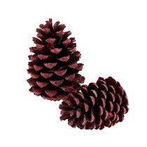 položky Maritima šišky 10-15cm červeně matné 12 ks