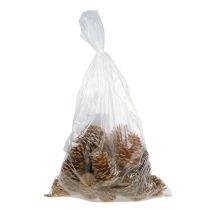 položky Kornouty Maritima krémovo-vanilkové mix 5-18cm 25 ks