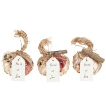 položky Směs námořních dekoračních mušlí v síťce, barevná, 3,5-6 cm, 300 g × 3 kusy