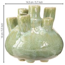 položky Námořní dekorační váza Coral Design Světle zelená Ø14,5cm H14cm