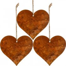 položky Srdíčka na zavěšení podzimní kovová dekorace patina 9,5×10cm 12ks
