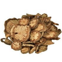 položky Mini dřevěné disky z betelových ořechů s zrnem 1-4,5 cm 300 g
