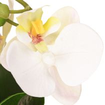 položky Mini orchidej umělé bílé orchideje v květináči 15cm