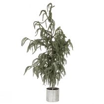 položky Mini vánoční stromeček v květináči se sněhem v zimě 45x110cm