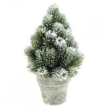 Mini vánoční stromek v květináči uměle zasněžovaný Ø14cm V24cm