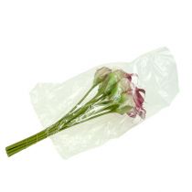 položky Mini kala umělá 28cm Erika, krémová 12 ks