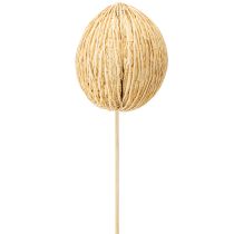 položky Mintolla kulička bělená 8cm - 10cm L46cm 6 ks