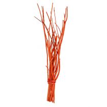 Mitsumata větve oranžové 34-60cm 12ks