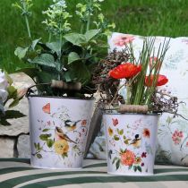 položky Vlčí mák v trávě 23cm