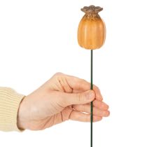 položky Zahradní kolík s makovým luskem - dekorativní prvek pro zahradní dekoraci a kutilské projekty - 41 cm, 4 kusy -
